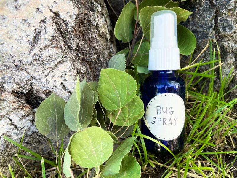 Glass bottle with label bug spray in front of leaves and tree