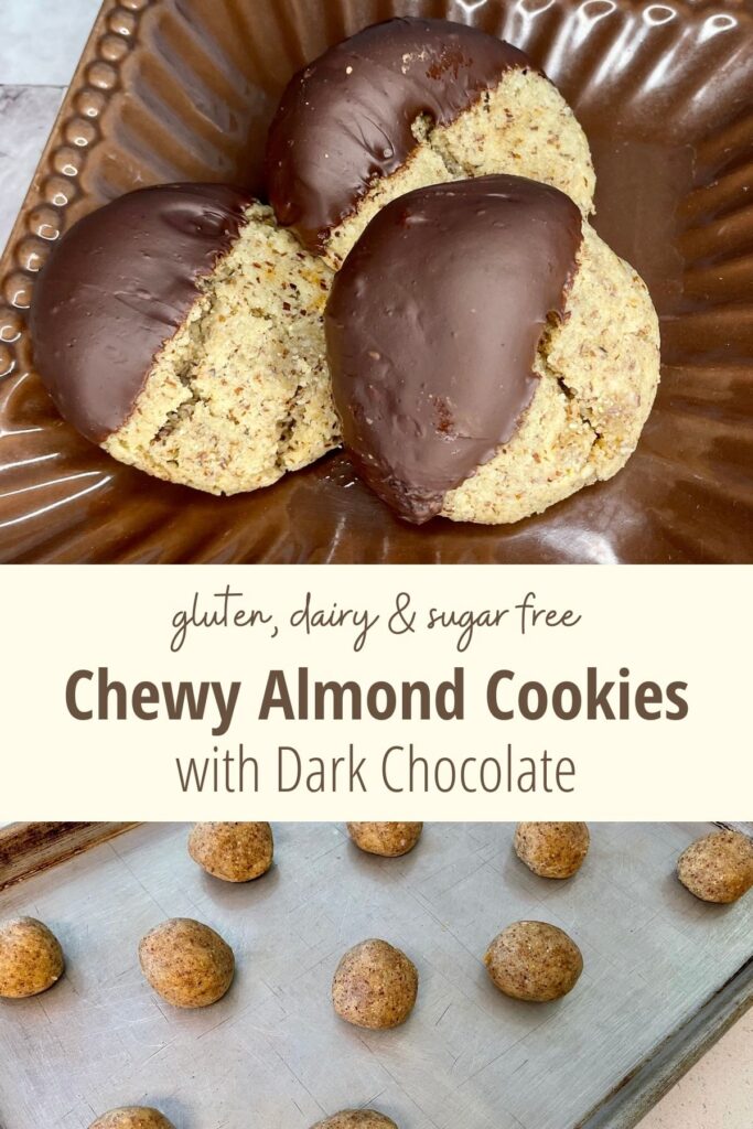 almond cookies dipped in chocolate