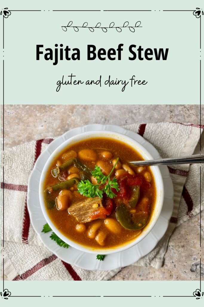 bowl of fajita beef stew
