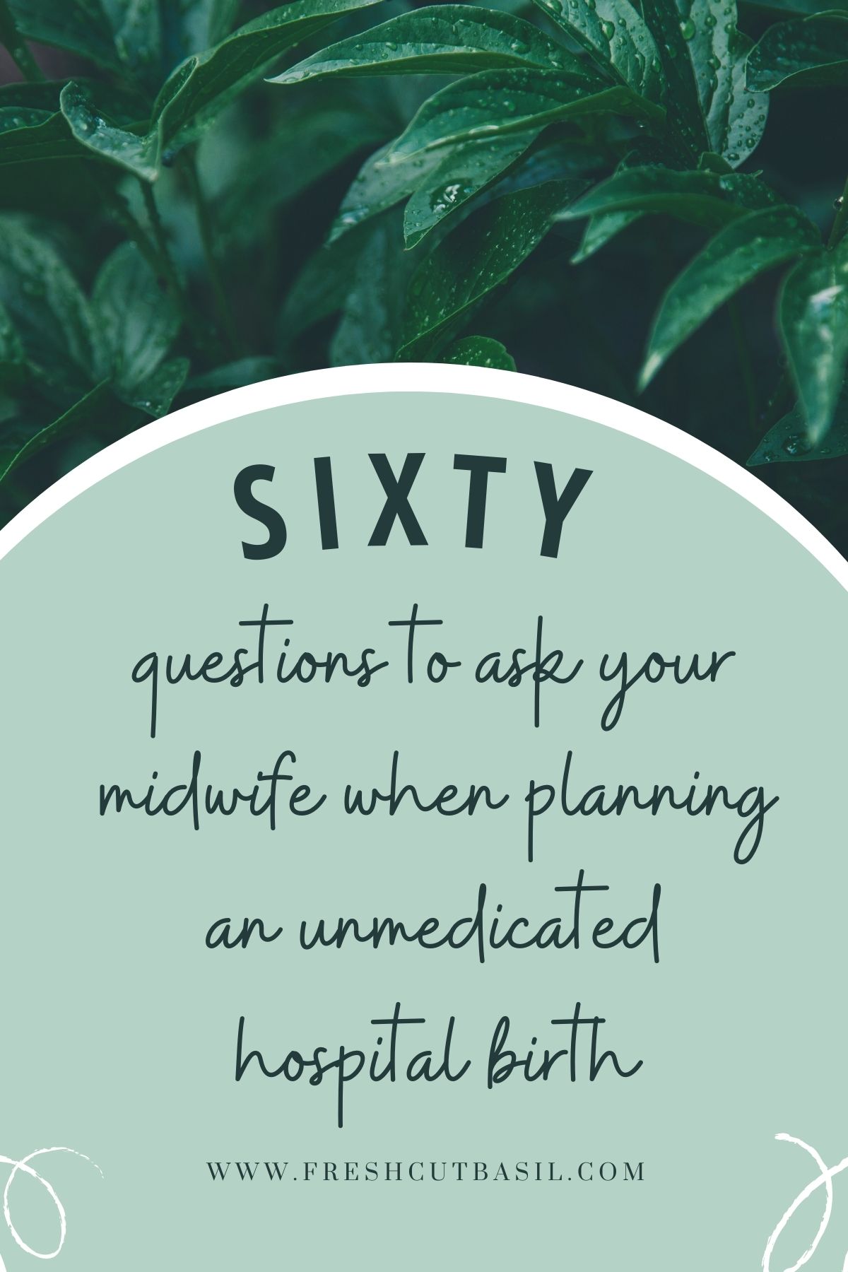 Questions To Ask Your Midwife When Planning A Natural Hospital Birth ...